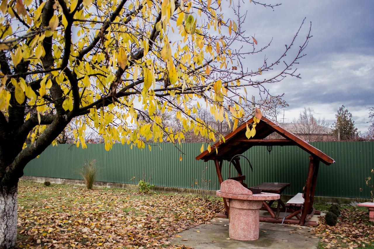 Beauty Complex Berehove (Transcarpathia) Exterior foto
